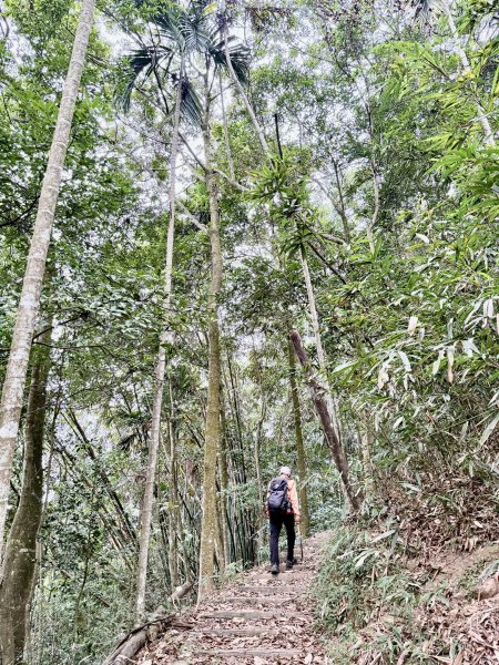 埔里撿基石-西關刀山西峰(貓頭山).牛眠山.三角嶺山(東南峰)  2024.12.142669896