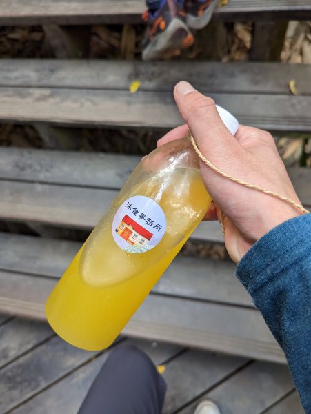 2023-02-04 大坑9、10號步道2792389