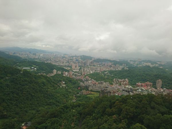 貓空樟樹步道 2017.05.21139488