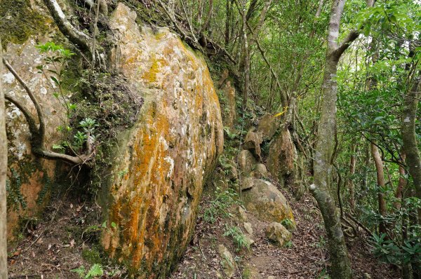 新北 烏來 烏來山、大桶山、四崁水山2829250