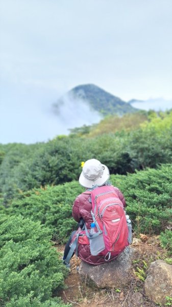 賞花+爬山健行-202402242436987