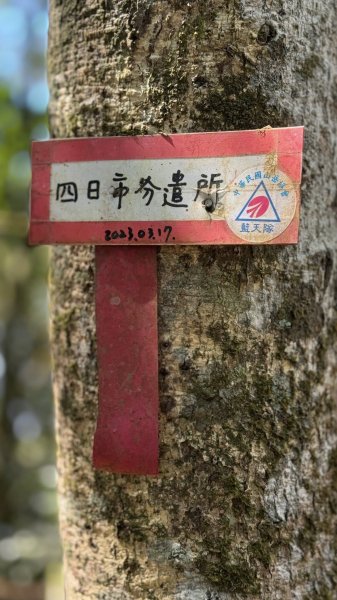 20260213 小百岳鳴海山3002964
