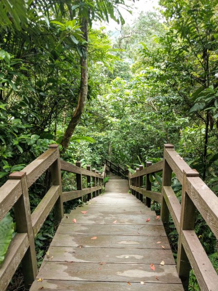 黎和生態公園→富陽自然生態公園→中埔山/東峰→福州山→富陽自然生態公園1438408