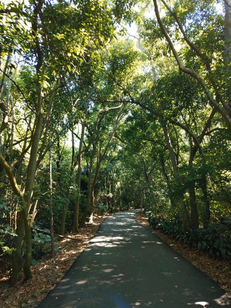 松柏嶺O形2908123