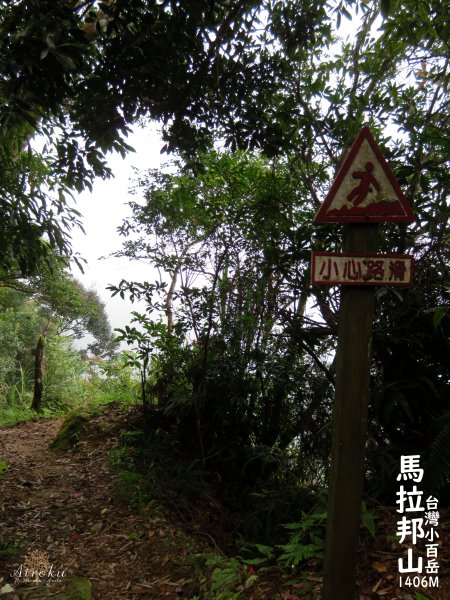 馬那邦山-珠湖登山口攻頂折返 678559