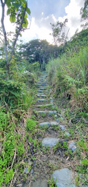 2023-06-24八里灣山登山步道2193657