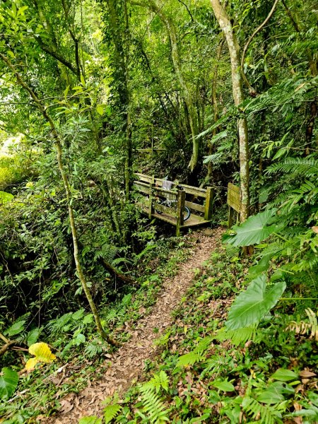 四寮溪生態步道-2025森遊竹縣皮皮獅探險隊2889105