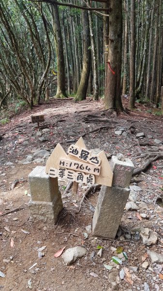 起初露營區經第三登山口上油羅山872316