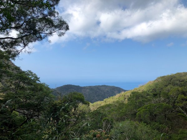 2020.03.08里龍山878287