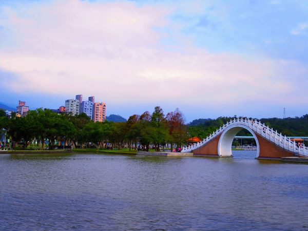 白鷺鷥山與大湖公園落羽松步道235878