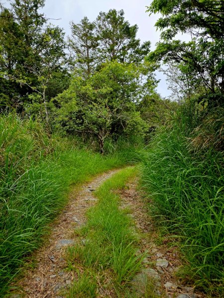 三星山-小百岳#85-宜蘭縣大同鄉2827541