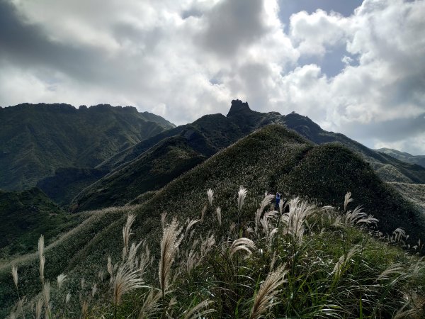 茶壺山賞芒,煙囪稜看海1186598