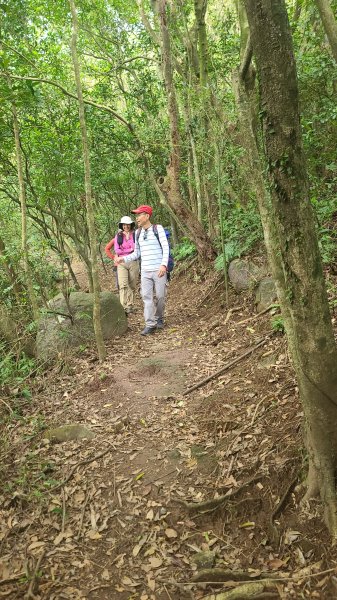 2025-01232淡蘭古道北二段(燦光寮古道到澳底)2696673