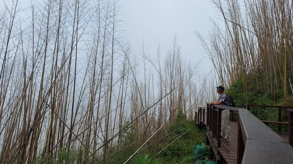 1140426二延平步道接茶林山步道續走隙頂山2770499