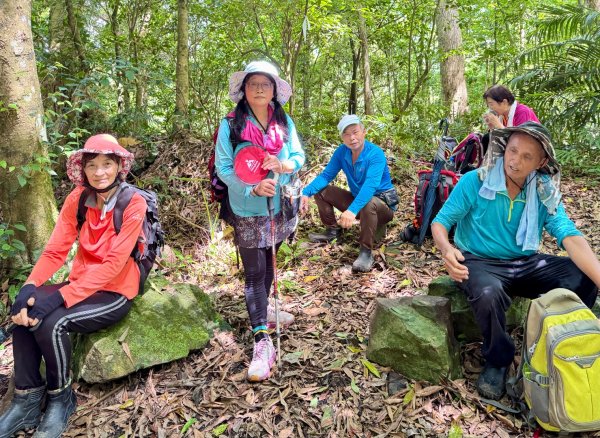 八五山古道賞九穹奇樹 尋鳥嘴下山（煤源山）2803328