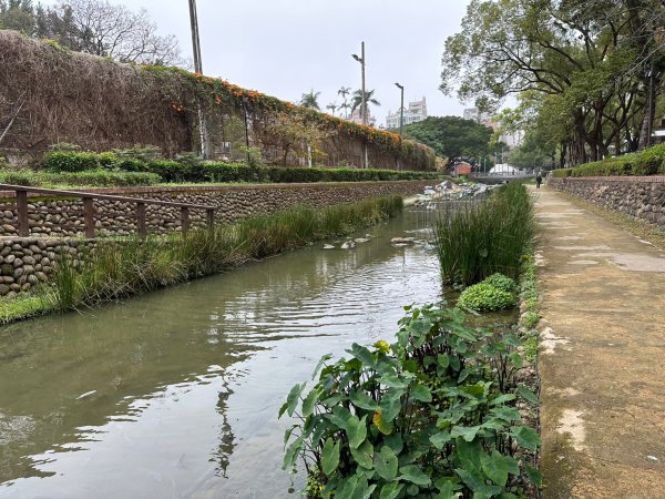 新竹護城河親水公園周邊輕鬆走2034901