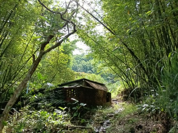 雙溪區威惠廟+下坑山+570峰+大埤格+崩山坑古道O型2814822