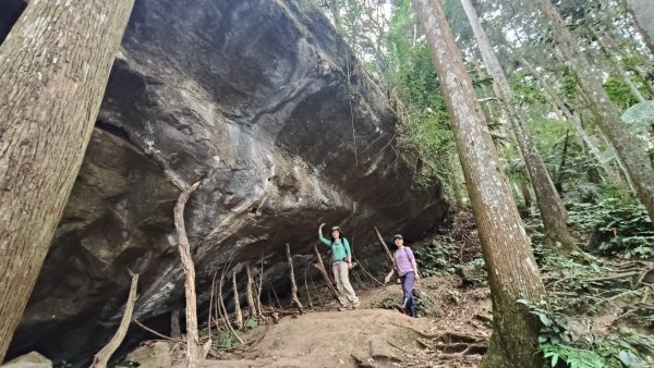 向天湖山11501252988143