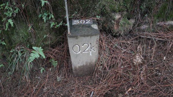 雪山主東峰登山健行趣(百岳02號＆74號)1882887