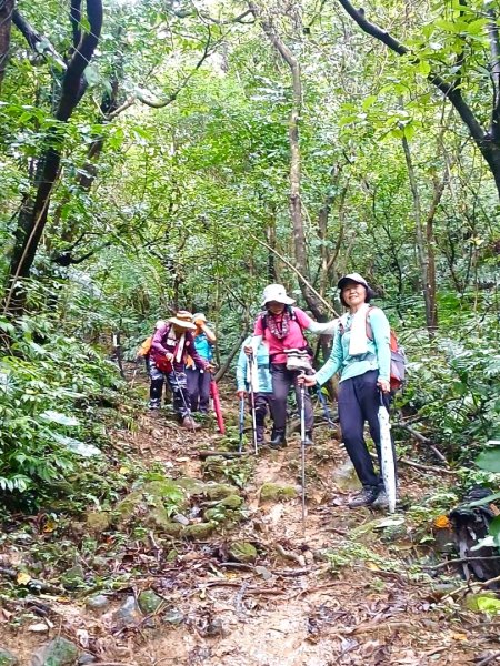 大武崙情人湖公園走瑪鋉山3075089
