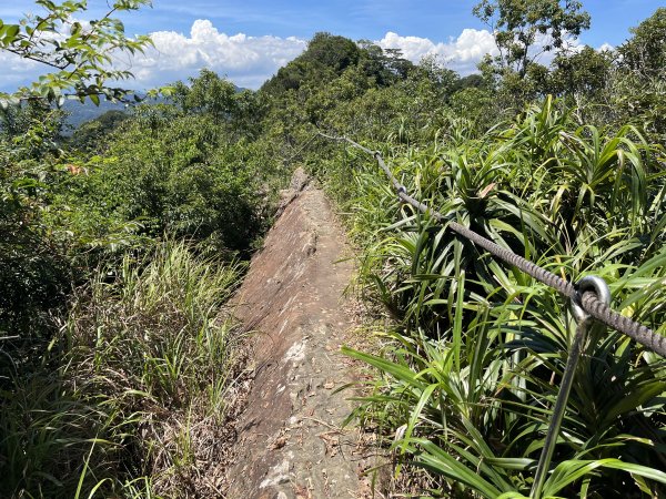 [微笑山線_第九段] 2025_0914 二格山系_天王峰2889614
