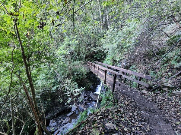 20241124布奴加里山2679105