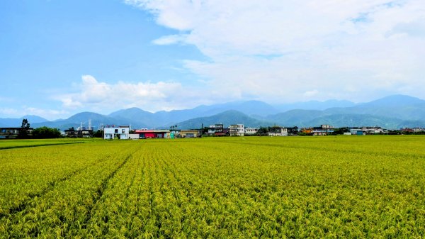 三奇美徑,52甲溼地2813340