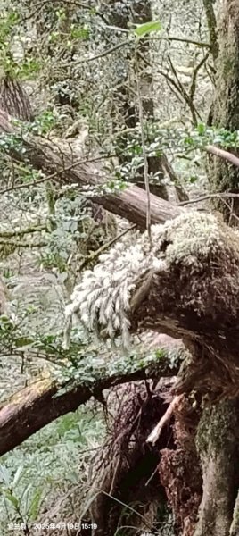 20240419-20松羅湖二天一夜2767360