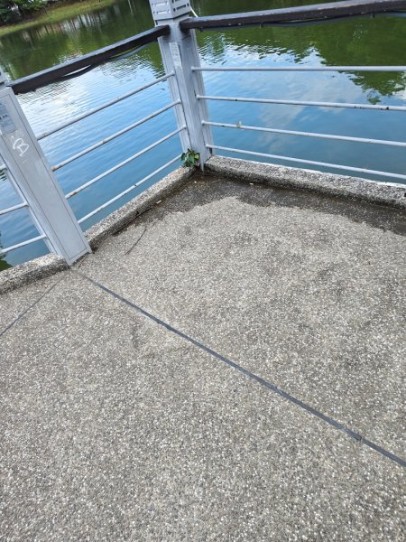 高雄．蓮池潭環潭步道202607183117014