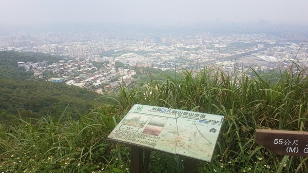 20180501青龍嶺大棟山登頂419071