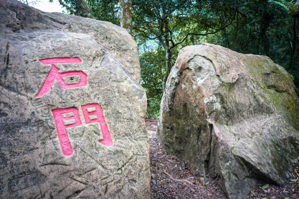 苗栗大湖鄉 馬那邦山938259