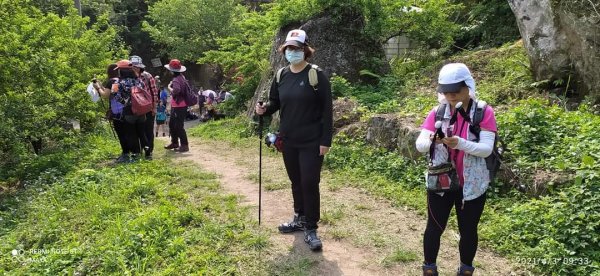 馬那邦山登山步道、雪霸國家公園1332513