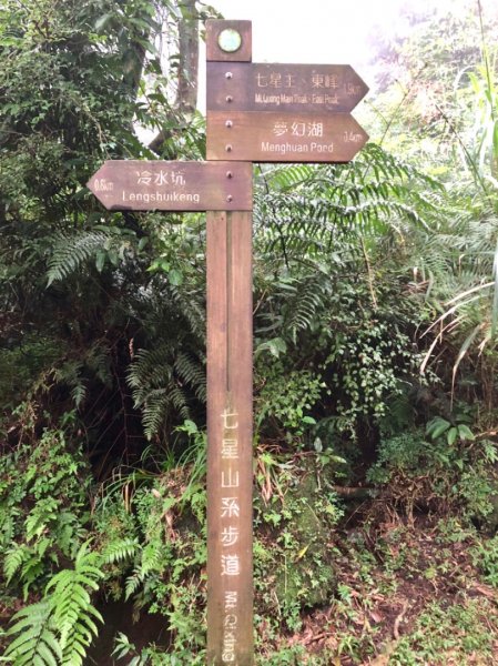 2018-10-25七星山東峰登山步道444009