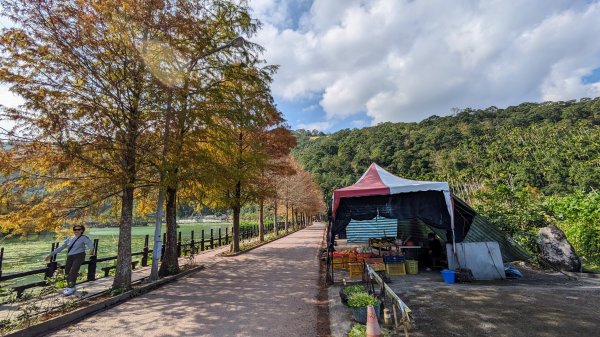 望龍埤,鎮頭山,蜊埤湖2391880