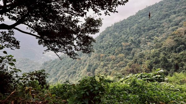 🌈12/14(日)南部最佳百岳練習場~小百岳-尾寮山✨FB：熊熊趴爬走🌈2961689