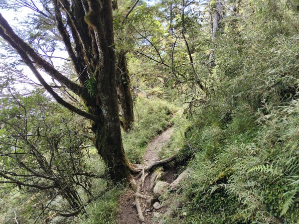 北一段(03/14)多加屯山 2025_0906~132885260