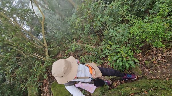 馬武督山西南峰+馬武督山O型走3012862