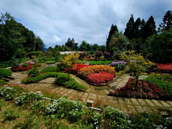 野馬瞰山步道-2025森遊竹縣皮皮獅探險隊2895224
