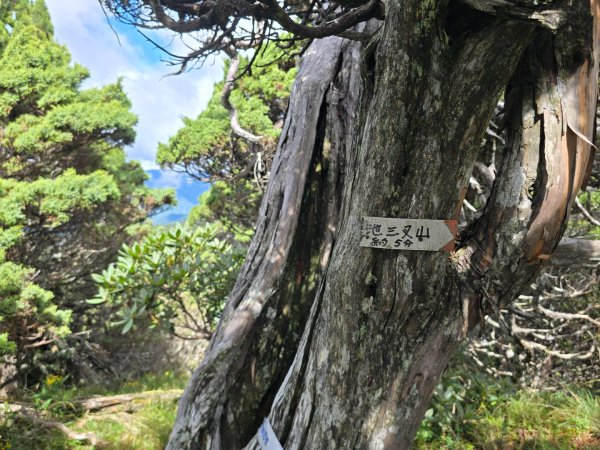 20240927 志雪劍2614928