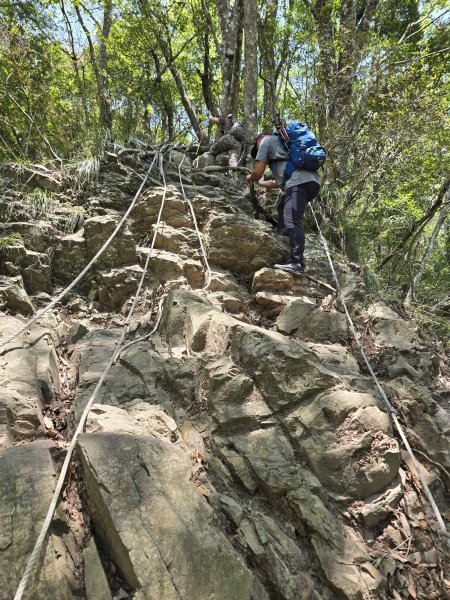 20260412 苗栗虎山3050576