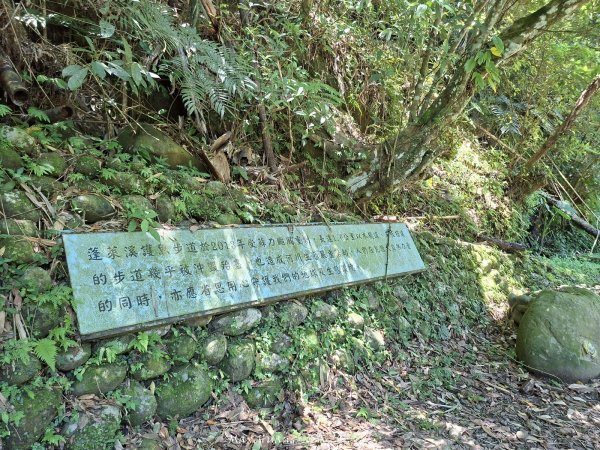 《苗栗》清涼步道｜ 南庄蓬萊溪護魚步道及四十二份坪步道202606213077910