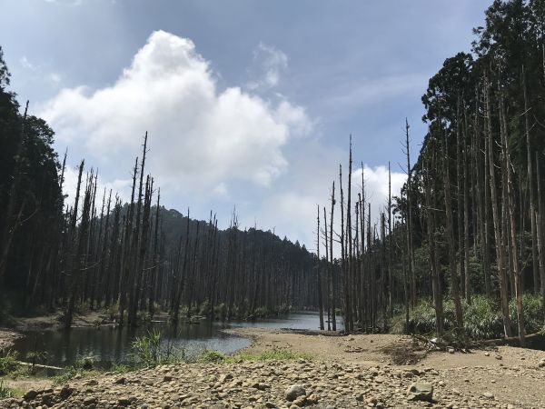 鹿屈山前峰 鹿屈山 水漾森林 林道O走181438