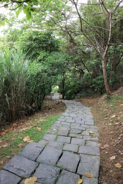 〔北投〕硫磺谷環狀步道，龍鳳谷地熱景觀區步道，磺溪溫泉步道2150613