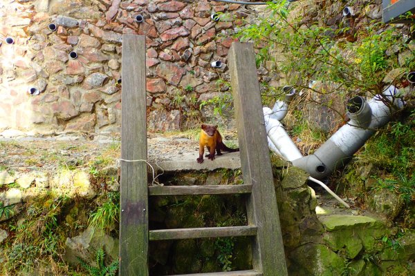 登峰造極--2018玉山主峰532645
