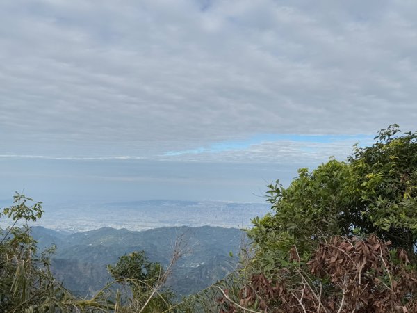 走大橫屏山九份二山(小百岳#45、47)賞梅去2695070