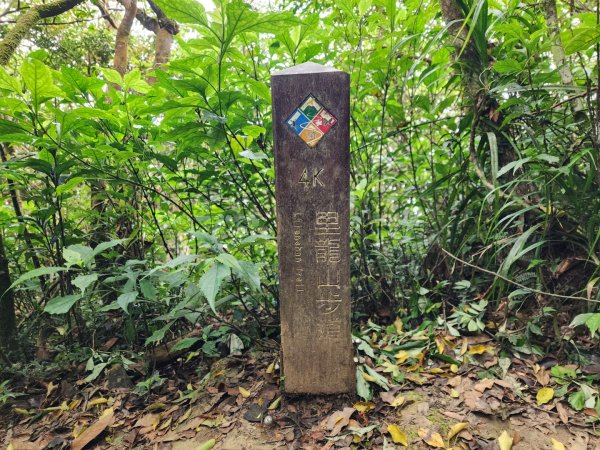 小百岳No.80⛰里龍山2776351