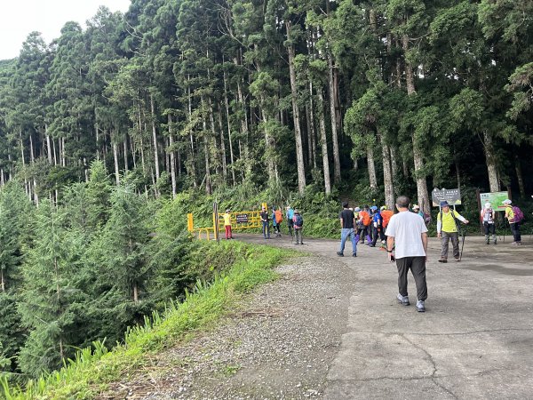 [皮皮獅探險隊-07/10] 2025_0719 油羅山步道2842685