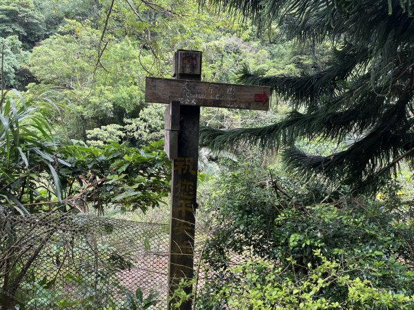 [微笑山線_第三段] 2025_0720 鳶山山系_鳶尾山2843632