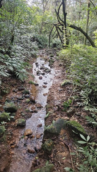 20260211庚子坪溫泉-赤石六山2997584