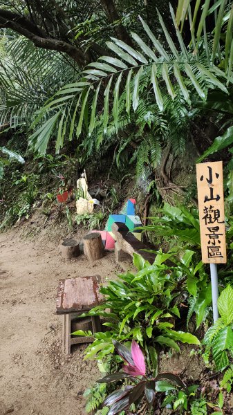 百吉林蔭步道3031326